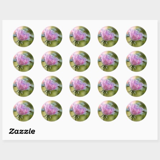 Roze rozenticker ronde sticker (Vel)