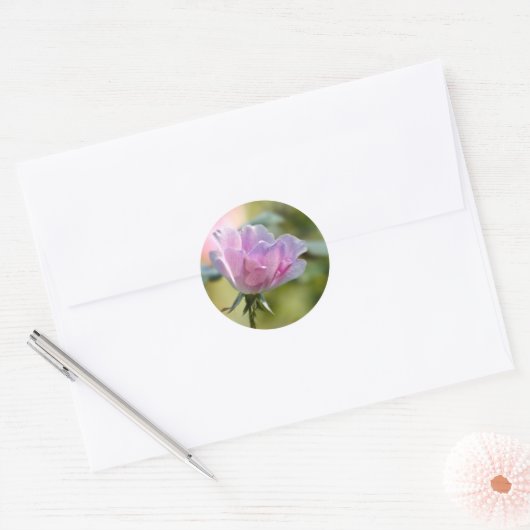 Roze rozenticker ronde sticker (Envelop)