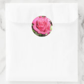 Roze rozenticker ronde sticker (Tas)