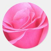 Roze rozenticker ronde sticker (Voorkant)