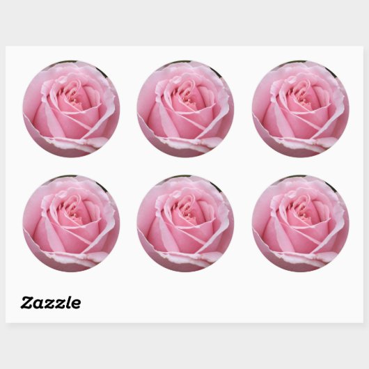 Roze rozenticker ronde sticker (Vel)