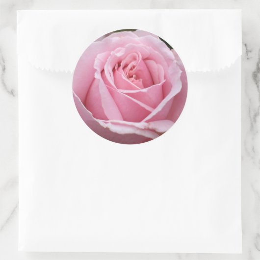 Roze rozenticker ronde sticker (Tas)