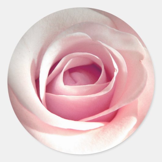 Roze rozentickers ronde sticker (Voorkant)