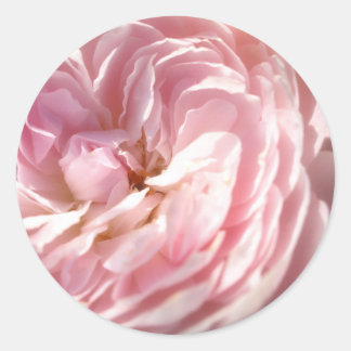 Roze rozentickers ronde sticker