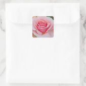 Roze rozentickers vierkante sticker (Tas)