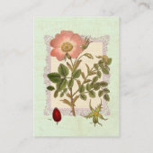  Roze Rozentuin Bloemist Visitekaartje (Achterkant)