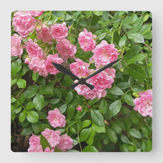 Roze Rozentuin Bloemura Klok (Voorkant)
