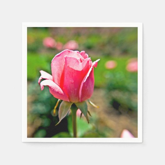 Roze rozentuin servet (Voorkant)