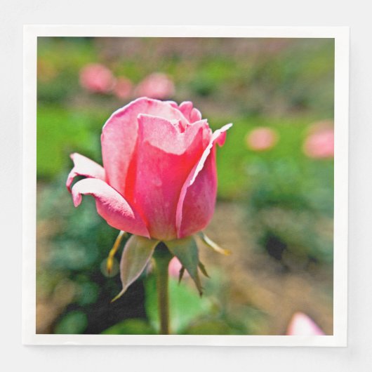 Roze Rozentuin Servet (Voorkant)