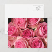 Roze rozenventilator briefkaart (Voorkant / Achterkant)