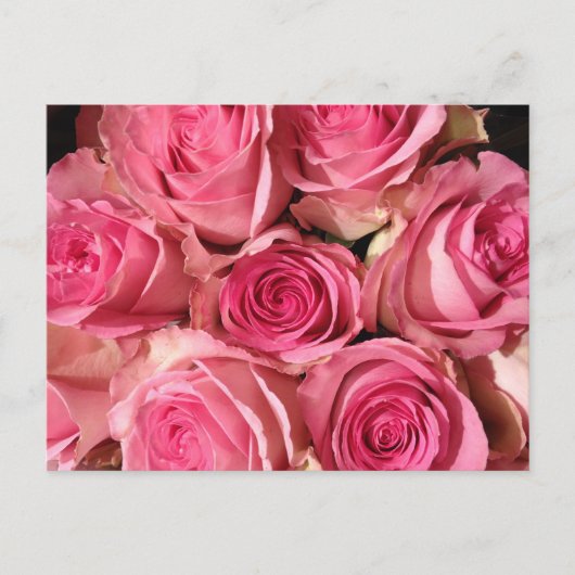 Roze rozenventilator briefkaart (Voorkant)