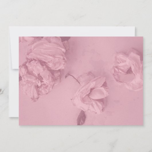 Roze rozenviering van het leven kaart (Achterkant)