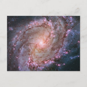Roze ruimte foto spiraalstelsel M83 Briefkaart