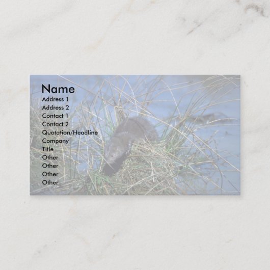 Roze rust op grassy tussock in moeras visitekaartje (Voorkant)