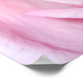 Roze, S Cyr Poster (Hoek)