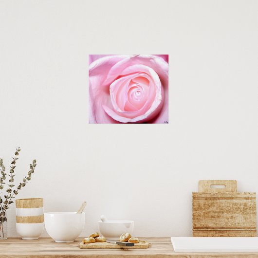 Roze, S Cyr Poster (Keuken)