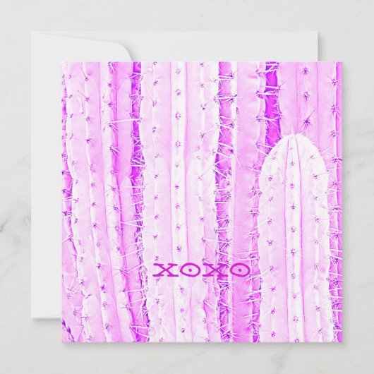 Roze Saguaro Cactus XOXO Foto Art Fun Kaart (Voorkant)