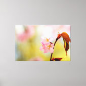 Roze Sakura-bloemen en rode bladeren in Springtime Canvas Afdruk (Voorkant)