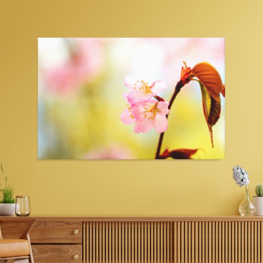 Roze Sakura-bloemen en rode bladeren in Springtime Canvas Afdruk (Insitu (Woonkamer))
