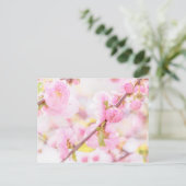 Roze sakura bloemen - Japanse kersbloesem Briefkaart (Staand voorkant)