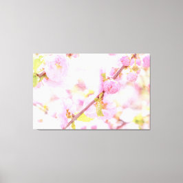 Roze sakura bloemen - Japanse kersbloesem Canvas Afdruk