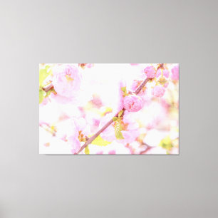 Roze sakura bloemen - Japanse kersbloesem Canvas Afdruk