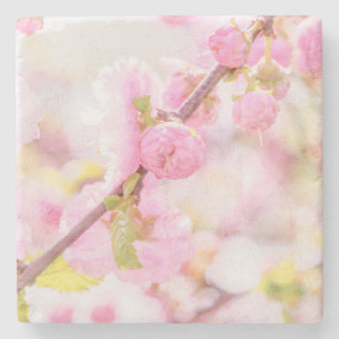 Roze sakura bloemen - Japanse kersbloesem Stenen Onderzetter