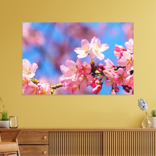 Roze Sakura-bloemen op een boom in Springtime Canvas Afdruk (Insitu (Woonkamer))