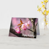 Roze Sakura-bloemen op een boom in Springtime Kaart (Gele Bloem)