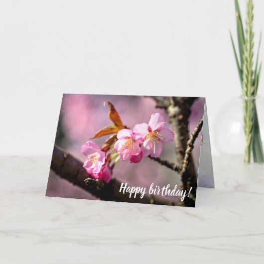 Roze Sakura-bloemen op een boom in Springtime Kaart (Voorkant)