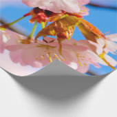 Roze Sakura-bloemen op een warme dag van de lente Cadeaupapier (Hoek)