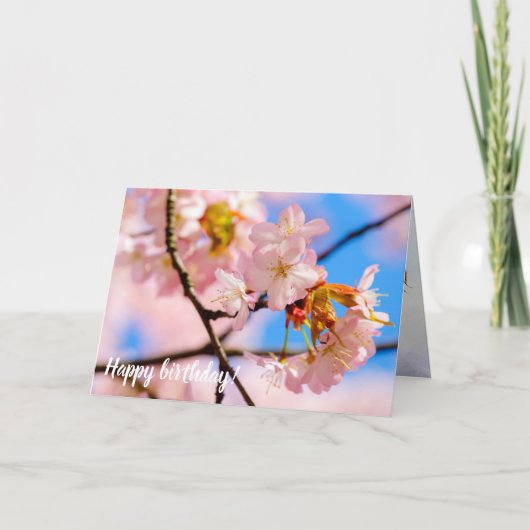 Roze Sakura-bloemen op een warme dag van de spits Kaart (Voorkant)