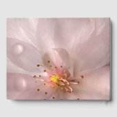 Roze Sakura Bloemen Verjaardagsfeest Gastboek Gastenboek (Achterkant)