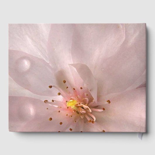 Roze Sakura Bloemen Verjaardagsfeest Gastboek Gastenboek (Achterkant)