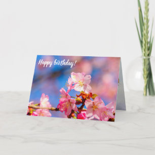 Roze Sakura bloesems op een zonnige dag van de len Kaart