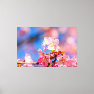 Roze Sakura Bloesems Op Een Zonnige Lentedag Canvas Afdruk