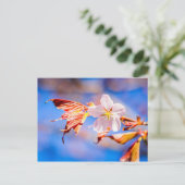 Roze Sakura Flower Blue Sky Briefkaart (Staand voorkant)