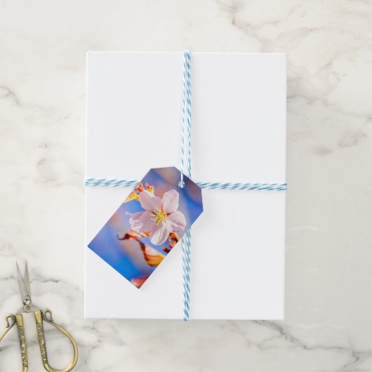 Roze Sakura Flower Blue Sky Cadeaulabel (Met Touw)