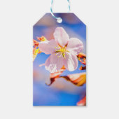 Roze Sakura Flower Blue Sky Cadeaulabel (Voorkant)