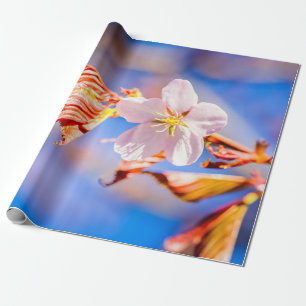 Roze Sakura Flower Blue Sky Cadeaupapier