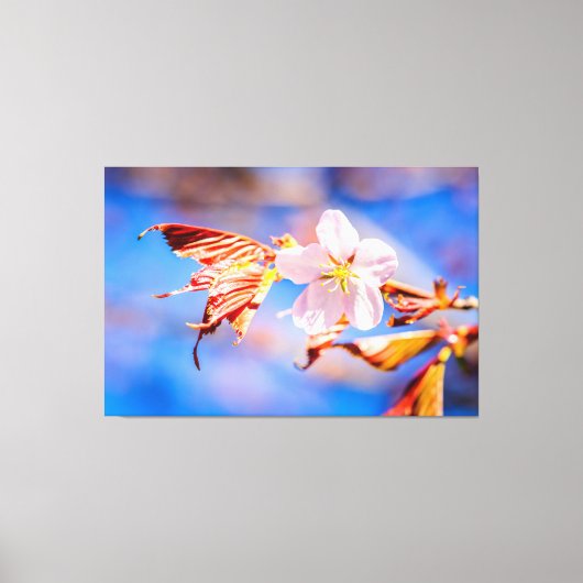 Roze Sakura Flower Blue Sky Canvas Afdruk (Voorkant)