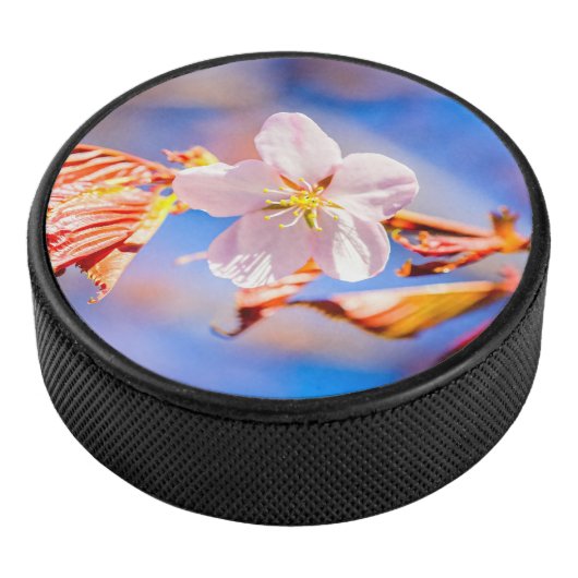 Roze Sakura Flower Blue Sky Hockey Puck (3/4)