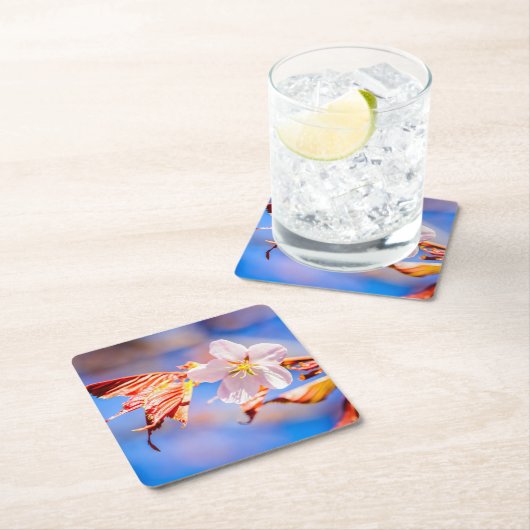 Roze Sakura Flower Blue Sky Kartonnen Onderzetters (Insitu)