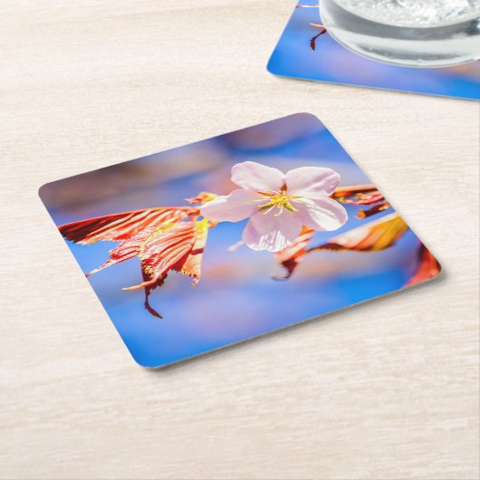 Roze Sakura Flower Blue Sky Kartonnen Onderzetters (Schuin)