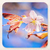 Roze Sakura Flower Blue Sky Kartonnen Onderzetters (Voorkant)