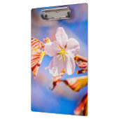 Roze Sakura Flower Blue Sky Klembord (Links)