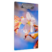 Roze Sakura Flower Blue Sky Klembord (Rechts)