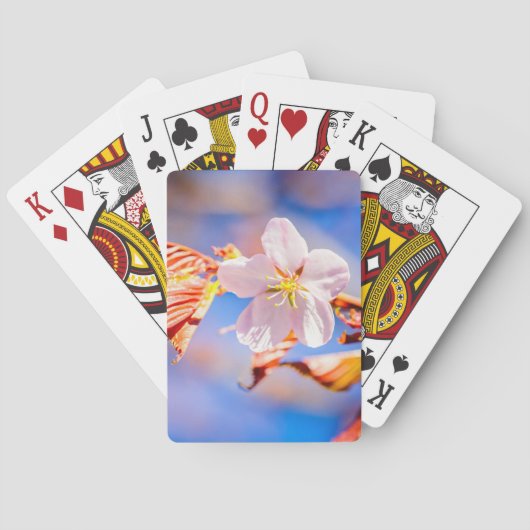 Roze Sakura Flower Blue Sky Pokerkaarten (Achterkant)