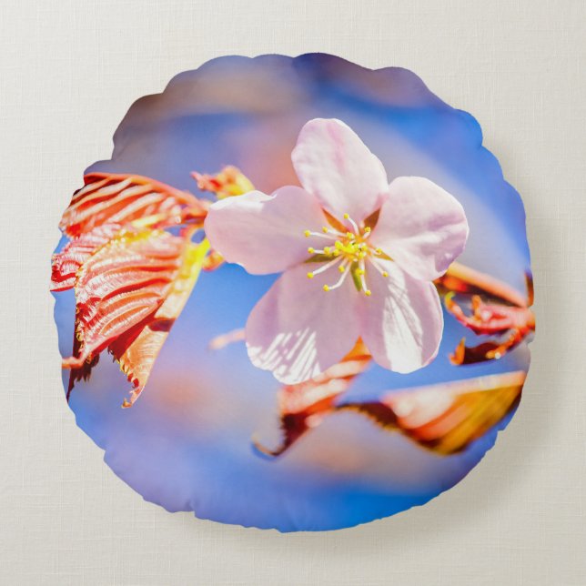 Roze Sakura Flower Blue Sky Rond Kussen (Voorkant)