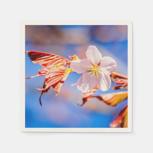 Roze Sakura Flower Blue Sky Servet (Voorkant)